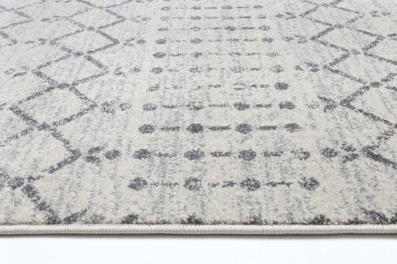 Delicate Grey Modern Rug 200x290 cm