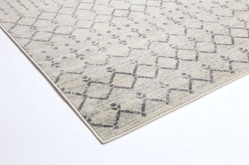 Delicate Grey Modern Rug 200x290 cm