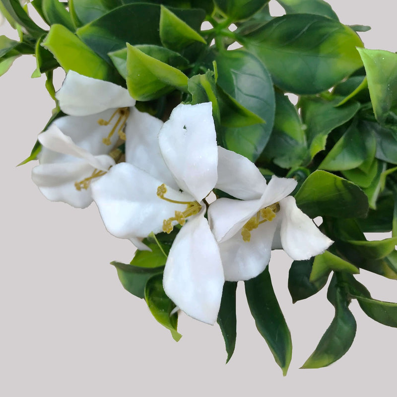 White Flowering Jasmine Stem UV Resistant 30cm